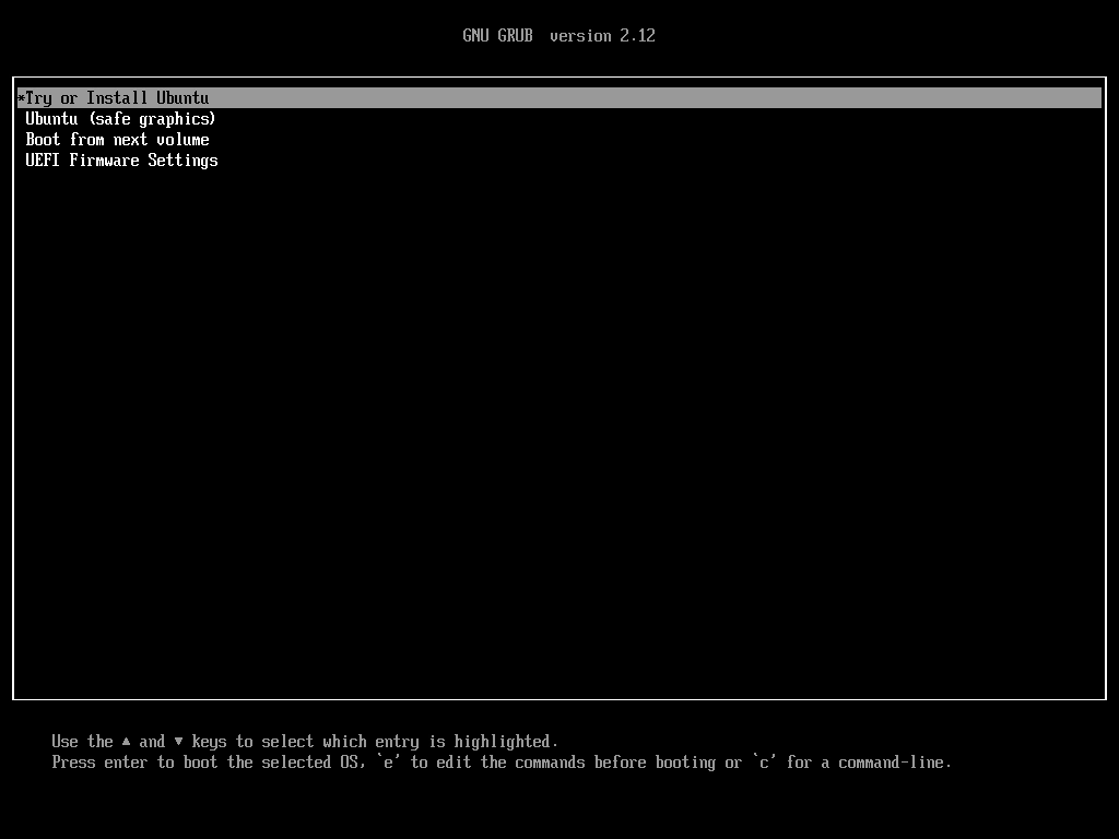 Меню загрузчика Ubuntu 24.04 LTS с выбором Try or Install Ubuntu.