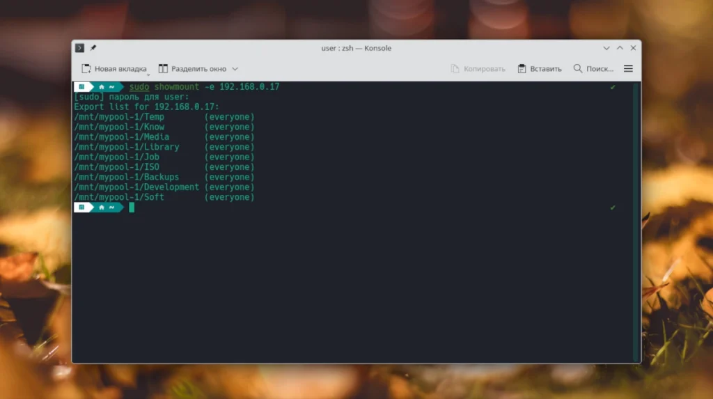 Окно терминала Linux с выполненной командой sudo showmount -e 192.168.1.100, показывающей список доступных NFS-ресурсов