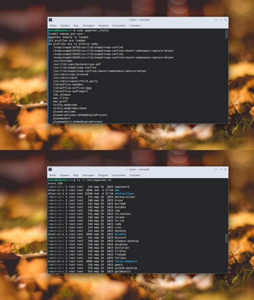 Терминал Ubuntu, демонстрирующий работу системы безопасности AppArmor: проверка статуса модуля и просмотр файлов профилей
