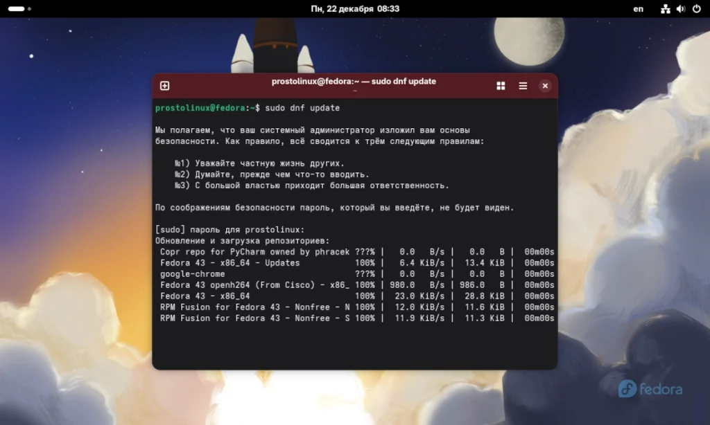 Терминал Fedora 43 с выполняемой командой sudo dnf update