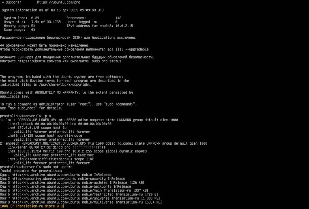 Окно терминала после успешного входа на Ubuntu Server. Выполняются команды ip a (показан IP-адрес) и sudo apt update (идёт процесс обновления)